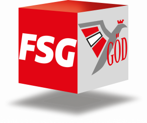 FSG-GOED-Wuerfel