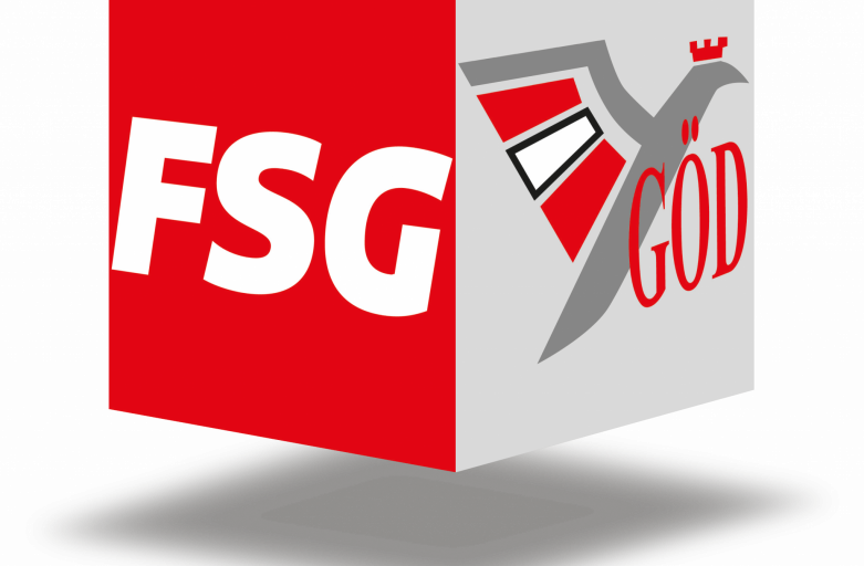 FSG-GOED-Wuerfel