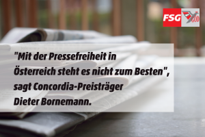 Enthüllungs-Journalismus statt Erfüllungs-Journalismus