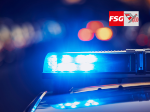 "Personalmangel und Überstunden: FSG GÖD fordert dringende Maßnahmen für die Wiener Polizei"